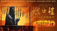 亚洲图片视频一区